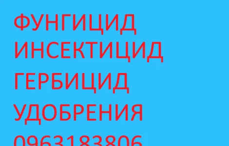 Куплю- Авиатор