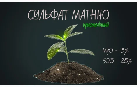 Сульфат магния кристаллический MgO - 15% SO3 - 28% (Сульфат магния)