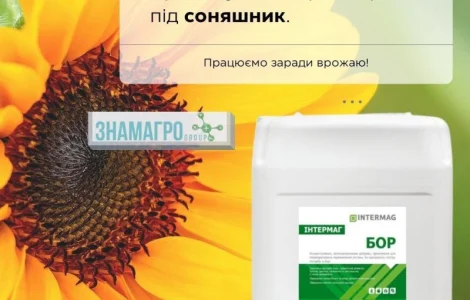 Интермаг - Бор
