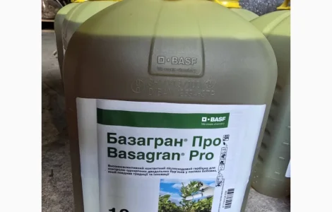 Базагран Про - післясходовий гербіцид для захисту бобових культур від комплексу бур'янів