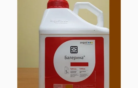 Балерина - системний гербіцид проти бур'янів в посівах зернових