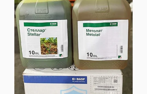 Стеллар + Метолат - надежный и эффективный гербицид для защиты посевов кукурузы