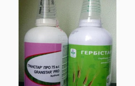 Гранстар