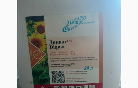 Дикват - Десикант контактного действия для подсолнечника