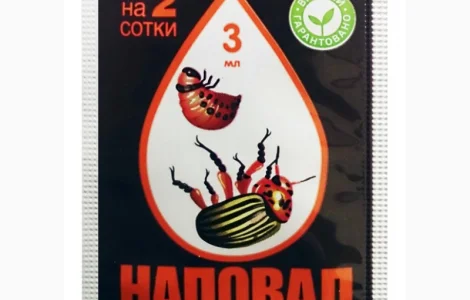 Наповал(аналог калипсо