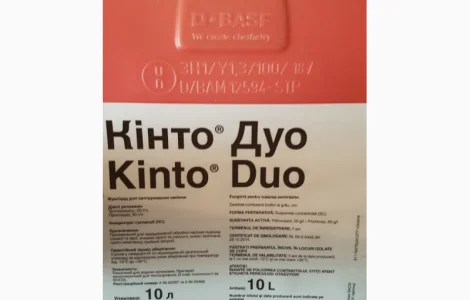 Кінто Дуо – селективний протруйник насіння зернових