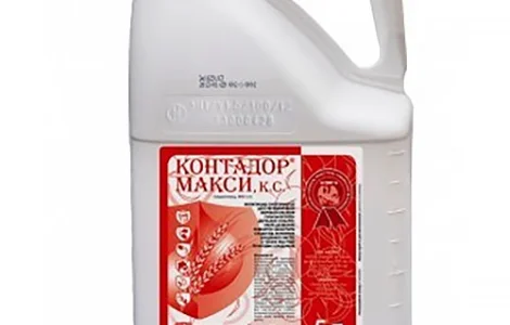 Протравитель Контадор макси (гаучо плюс)