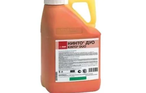 Купить Кинто Дуо