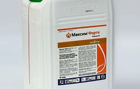 Максим форте 050 fs т.к.с. 20л цена за л