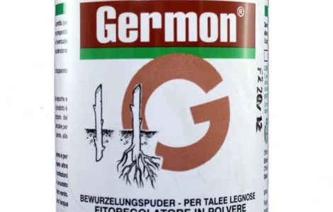 Germon 75% (Жермон) 100г - стимулятор росту для укорінення живців деревних порід