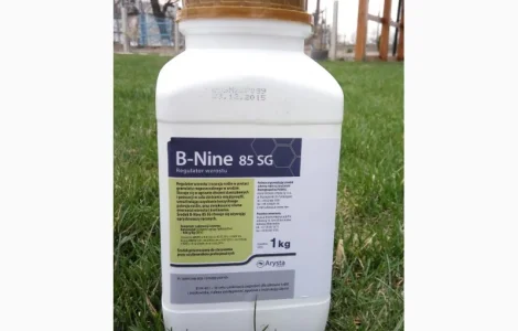 Регулятор роста Бі Найн B-Nine 85 SG для хризантем (Польща)