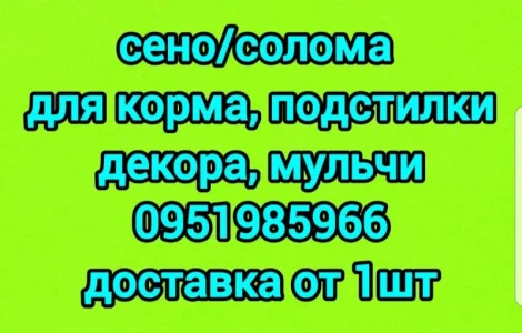 СЕНО различных видов. Доставка. Объёмы. Есть безналичный расчёт