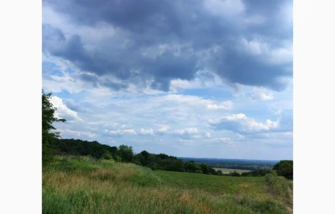 Продам сіно із люцерни, гарне