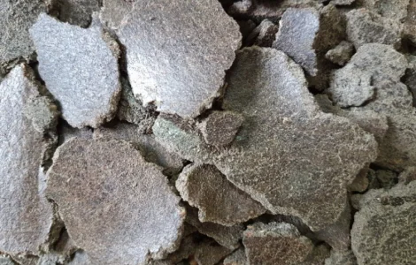 Продаємо макуху та олію соняшникову