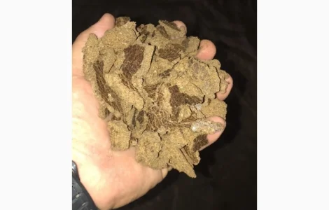 Продам рапсовий жмих