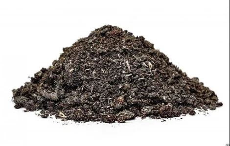 AgroTorg Sp. z o.o. закупаем шрот подсолнечный на ЭКСПОРТ