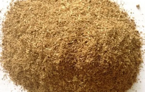 Польська компанія AgroTorg Sp. z o.o. закуповує пивну дробину на ЕКСПОРТ