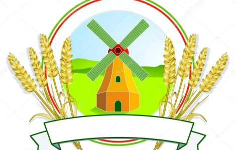 Продам висівки (висівку) пшеничну, муку В/С і 1С від виробника