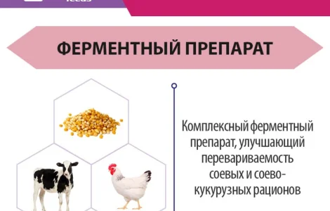 АльфаГал ENZIM Feeds - Ферменты для животных и птицы