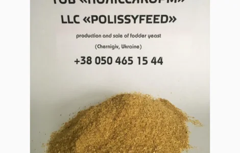 Кормовые Дрожжи от Производителя