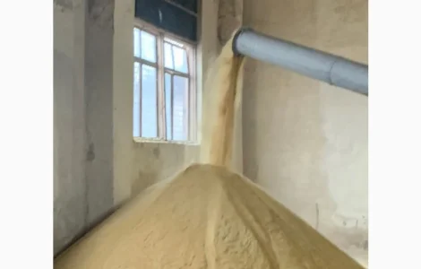 БАРДА спиртова DDGS