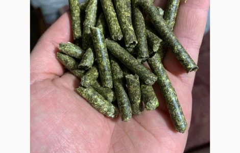 Люцерна в гранулах