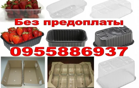 Пінетки 0