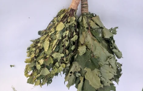 Веники для бани Дуб