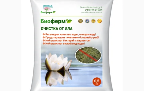 Очистка от ила