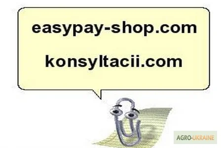 Начальник юридического отдела