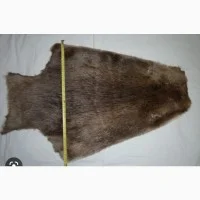 Покупка сухого не соленого меха бобра и других шкур