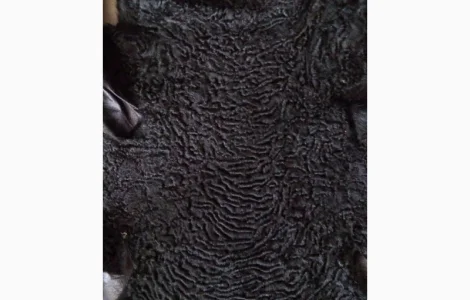 Продам шкуры каракульчи