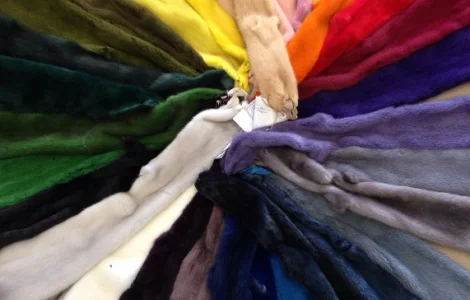 Норка.Шкуры норки крашенные