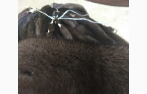 Норка Браун (горіх)