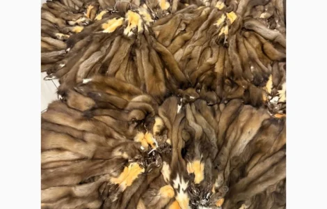 Куплю куницю НАЙДОРОЖЧЕ