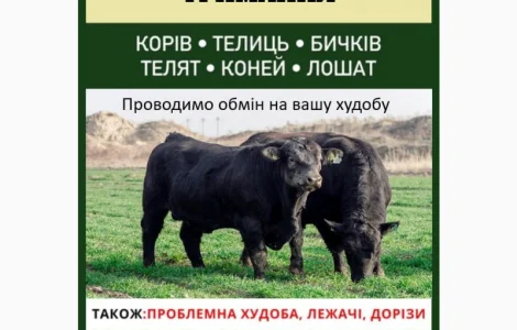 ВРХ дорого