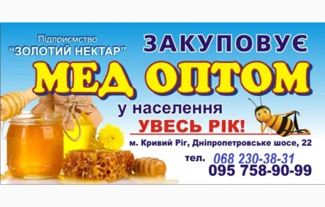 Закупівля меду оптом