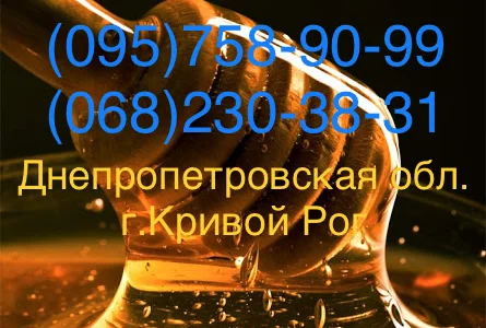 Золотой Нектар" Оптовая закупка меда (Кривой Рог)