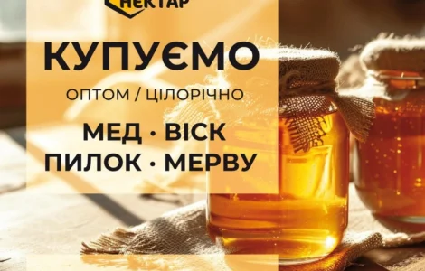 Покупаем мед от 500кг