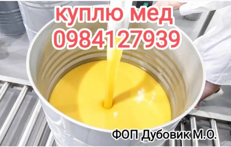 Предприятие покупает мед от 300кг для экспорта