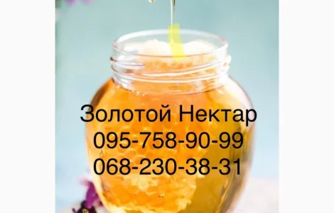 Закупаем Рапсовый Мёд