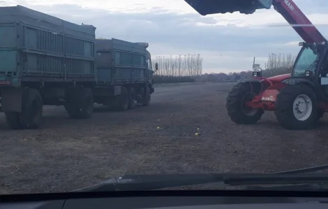 Купим яблоки на сок