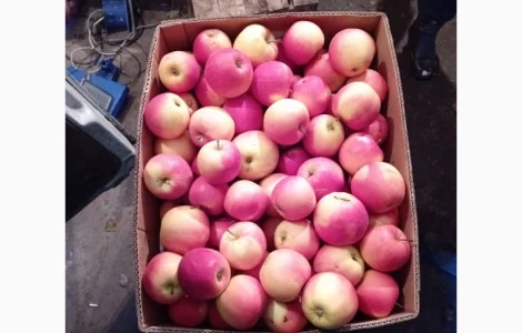 Яблука зимових сортів