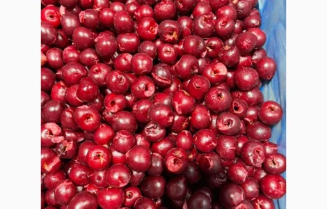 Продам вишня б/к шоковая заморозка
