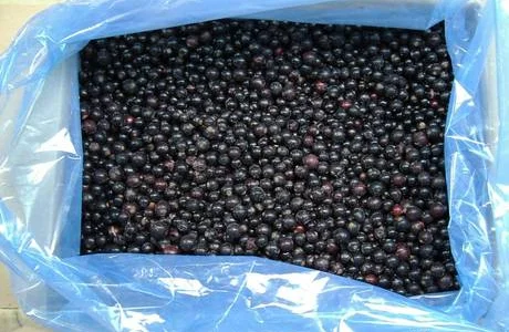 Смородина шоковой заморозки