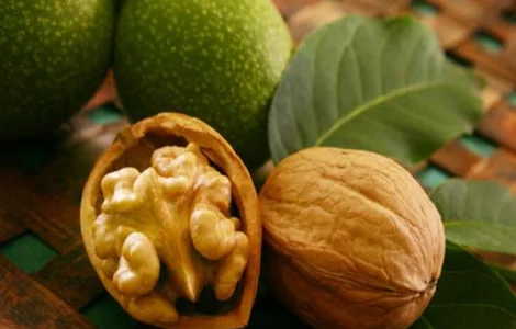 Продам грецкий орех бабочка светлая,  Украина