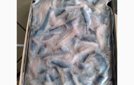 Продам філе сельді