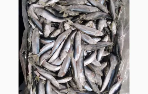 Продам салаку