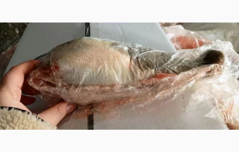 Продам язык говяжий По запросу