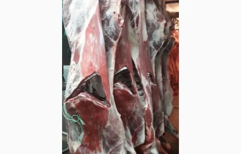ПрАТ АГРО-ПРОДУКТ продает охлажденное мясо на кости и кусковое мясо быка и коровы